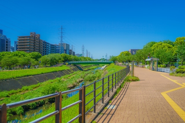 新横浜公園