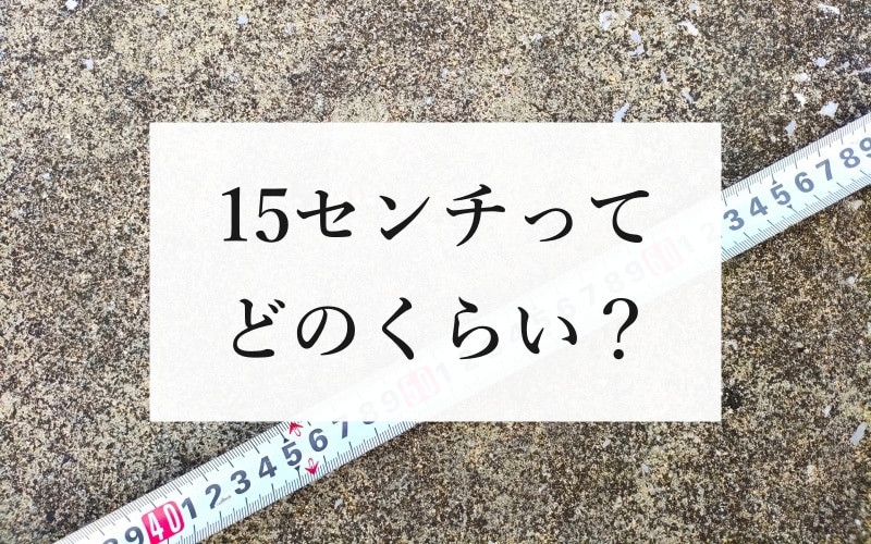 15センチってどのくらい？