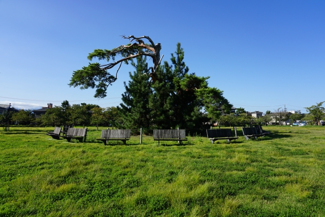 新発田城址公園