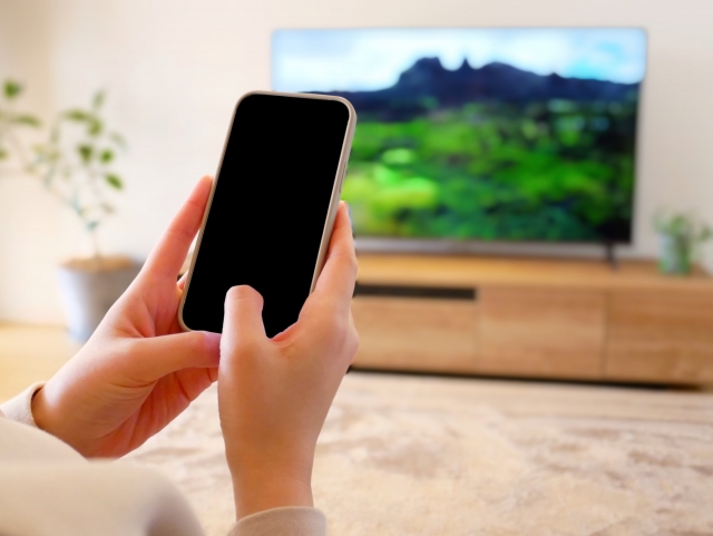 リビングでスマホを操作する様子